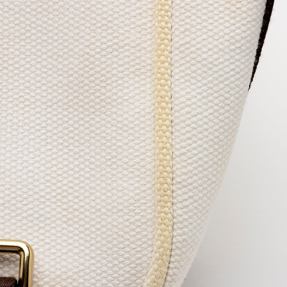 Louis Vuitton Canvas Antigua Besace Messenger Bag (SHF-15804)